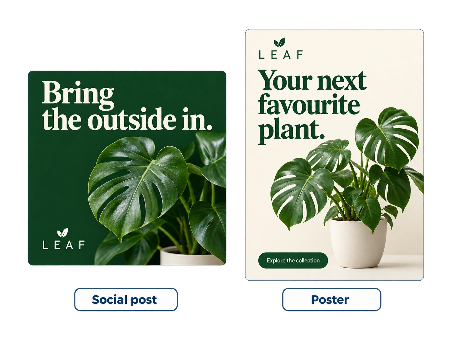Coordinated LEAF social post and poster designs in square and portrait formats